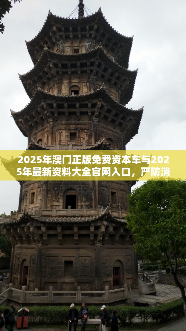塞霏霏